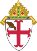 Episcopal_Diocese_of_Albany